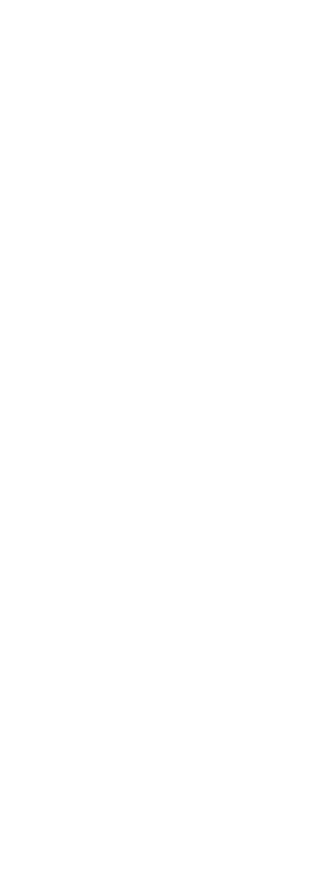CyberWolf